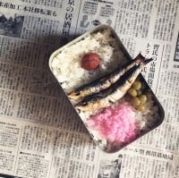 �߂����ɐԃE�C���i�[�A�v����ԁh���j���̏��a�فh�u���������͏T�P�̎蔲�����v