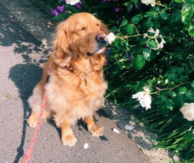 �u���O�݂����ɐ����Ă������v�Ԃ̃j�I�C���C�����悳�����ɚk�������R�ɔ���