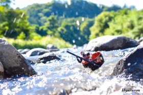 ���������ӂ��u�ꐡ�A���g�}���v�ɔ����A�t�B�M���A�g���g�I���ʁh�ւ̎v��