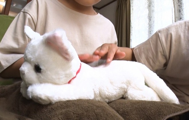 お母さん ねこ産んじゃった 妊娠した猫のおもちゃ 制作理由とは Oricon News