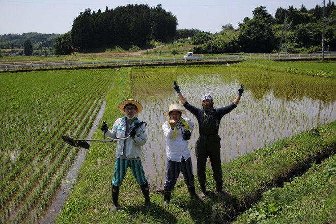 �_�Ɗ������x�����Ƃ��Đ��s������؏��n��ɔ_�n���؂�󂯂��Ă𐶎Y�B�ʐ^�F�{�l��