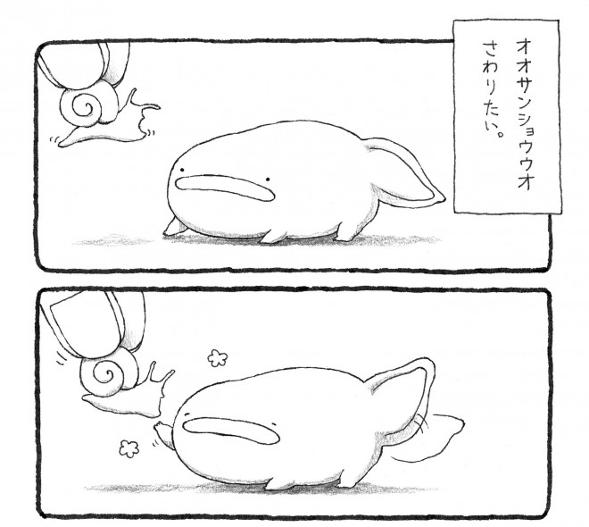 動物の画像について ぜいたくオオサンショウウオ イラスト