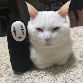 �w��Ɛ�q�x�̃n�N�l�H�@�_�X�����\��n�}��g���L�h�̓���Ƃ�