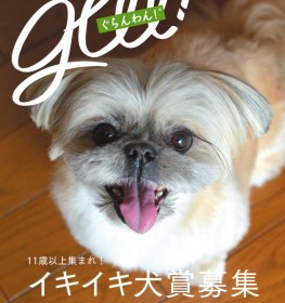 �L����g���̉��h���A��厏���u�V�j�A���Ƃ̈����鐶���v