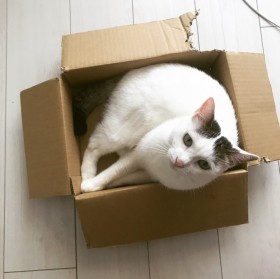 ������D���ȁg���t���t3�C�h�g���E�V�m�����˂��@�������ōK���ɂȂ��u�L���邠��v