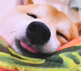 �Č��́h�Q�����̏u�ԁh�ɔ����A���炵�������������u�ӂ��ӂ����߂āv