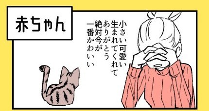 猫はずーっとかわいい 漫画作者伝えるメッセージ 成長したらかわいく