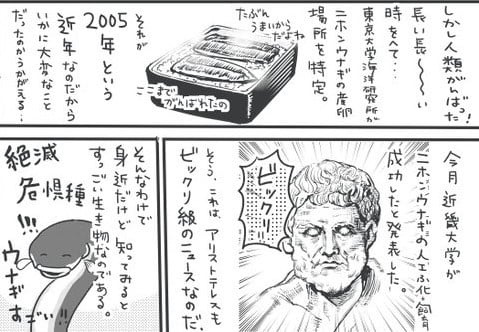 ウナギ生殖の謎追う学者たち描く漫画に反響 完全養殖の実用化めざす近大に聞く意義 Oricon News