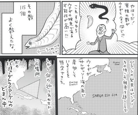 ウナギ生殖の謎追う学者たち描く漫画に反響 完全養殖の実用化めざす近大に聞く意義 Oricon News