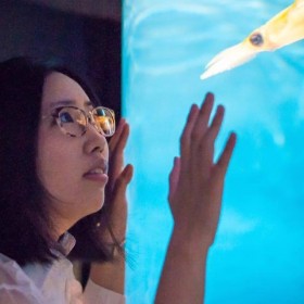 �����g�C�J��Ɓh�������閣�͂Ƃ������u���߂������Ƃ������킵���������v