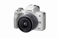 �k�����~�܂�Ȃ��f�W�J���s��A���Ƒ����̊�H�ɗ�������鍑���ő�胁�[�J�[�������Ɛ헪