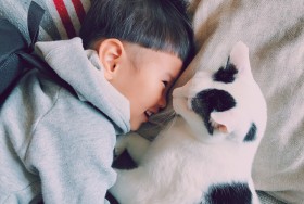 ���N�����L�������߂��ݏ��z���A2�N�o�������������`����u�U�N���A���������肪�Ƃ��v