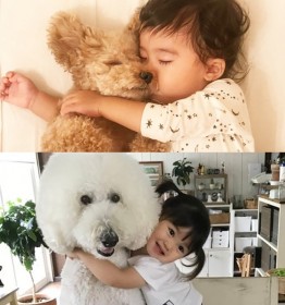 �t�H�����[55����500���Đ��A���ӂ��Ӄv�[�h���ƒ��ǂ��L�b�Y�ɐ��E�����甽��