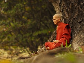 �^�C�̂��y�Y����l���ɁH �������C�s�������܂Ł@�~�j�J�[�ʐ^�Ƃ��g���A���h�ɒǂ����m���Ƃ́H