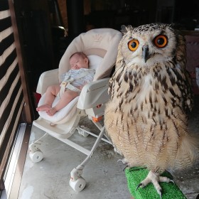 �g��h�Ԃ����ƃc�[�V���b�g�Ńh����H �b��̃t�N���E�ƉƑ��̐▭�ȋ������ɂق�����