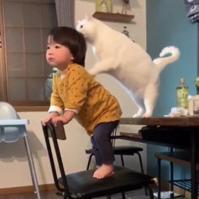 1�˂̒j�̎q��D��������锒�L�̎p��660���Đ��u�W�u���̐��E�v�u�ō��̃V�b�^�[�v