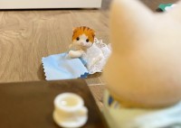 �g��������ꂽ�r�[�̋N���h�V���o�j�A�ŕ\�������玙�Ǝ����邠��ɔ����A�u������߂���v�u���邠�邾��i�����j�v�̐�