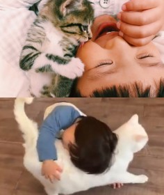 �j�̎q��D���������V�b�^�[�L�ɁA���̏d�������Ă��ꂽ���L�Ƌ��Ɉ�j�̎q�ɔ���