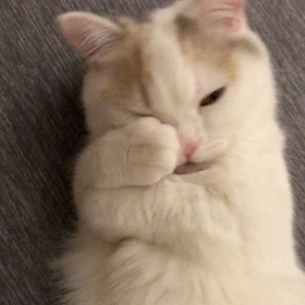 ����`����̐�y���ɔL�D�������@�Â���V�~�k�G�b�g�́g�����h�̃T�C��