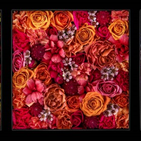 �u�͂Ȃ�Ă��Ă��A���肪�Ƃ��́A�`������B�v�j���[�r�[�Y����̓��Ɋ��ӂ̌��t���闝�R�Ƃ� 