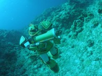 �{�Ó��̊C������q����U�N�}�����@�g���d�h�ȁu�����K���v���B�e�v�ɒ��񂾃��P