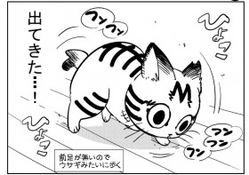 �����傳��u�s�ւ�S�̓T�|�[�g����o�傾�����v�A�O������{�Ȃ��ی�L���g�����̎q�ɂȂ�܂Łh�`������ɔ���