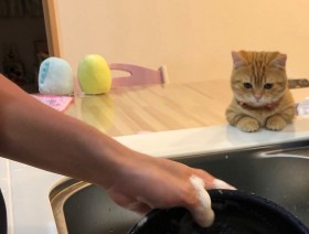 �u�􂢕�����ɂȂ�ʁv�Ǝ��������L��60�������ˁA����͓V�g���ɂ�