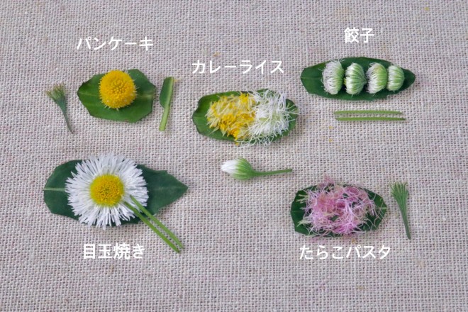 草花あそび ハルジオンのレストラン におままごと思い出すオトナ続出 刺繍みたい 2ページ目 Oricon News