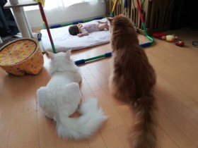 �u�f�J���L�ɂނ����ጩ����Ă�v�S�g�S��Łg�Ԃ����h�����߂�x���L����������