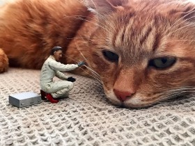 ���L�ƃ��f���\���J�݂����g���킢�����闠�A�J�h�u�����̔L���o�D�ɂȂ�镑��v