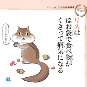 4�N�ڂ��q�b�g�w����˂�Ȃ������̎��T�x�A�����Ăԁh����˂�h�Ȑ����l