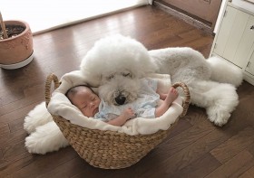 �����Ȏo��������傫�ȃv�[�h���̈���ɐ��E�����甽���u�܂�ł��Ƃ��b�̐��E�v