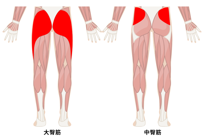 太もも ふくらはぎの筋トレで足腰を鍛える方法 プロが教える足の筋トレ Oricon News