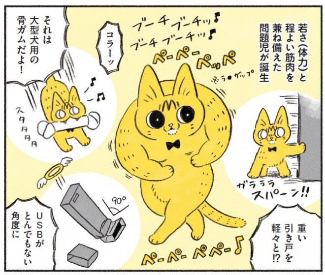 しおらしかった猫がワンパクに 保護猫の成長漫画に反響 作者 猫たちが来てよかったと思えるようにしたい Oricon News