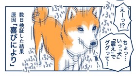 ����l�̋A��Ɂg�k���h�Ŋ�ѕ\���H �Č�����ɔ����u�߂����v���������Ȃ��悤��؂ɂ��Ă��������v