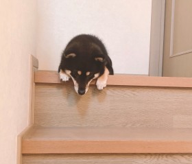 ���o�������N�����ɍs������K�i���~����Ȃ��c�ӂ������ގČ��̗l�q�ɔ����u�����N���Ă����āI�v