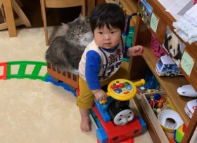 ���L�悹��g�����ȉ^�]��h�ɔ����u���x�A��q�A�^�]��c���ׂĂ������Ȃ��Ƃ��Ă���񂾁v