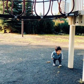 �ǂ����Ă��Ԃ���Ȃ��V���������Ŕ�����g���X�N�Ǘ��{�[�C�h�Ɂu�������Ăނ�v