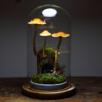 �d���A�Z��ł�H �_��I�ŕs�v�c�ȋ�C���ɔ����@����Ҍ��g���̂����E���h�̖���