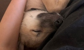 �u�l�����񂩂�Y�܂�܂������ǁH�v���S���������Q��̌��Ɂc �����傳��u�Y�񂾂悤�ȋC������v