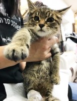 ��`�Ƃ����𕉂����q�L�A�ߍ��ȊO�������琶�ҁu��둫�������Ȃ��Ă��v���񂾍K�^