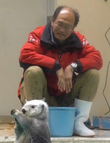 ���b�R�l�C�������H ���̂悤�Ɉ��ł�g�������񎔈���h�ɔM�����u�����̒ʂ������Ă܂����c�v