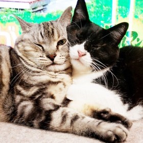 �u�ӖڂŃK���K���v�������炩��~��ꂽ�L�A���ԔL�ƉƑ��ɏ������K����