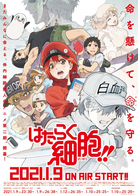 細胞たち の奮闘劇 アニメ はたらく細胞 放送 監修者語る 細胞たちに興味を持ち健康な体づくりに役立てて Oricon News