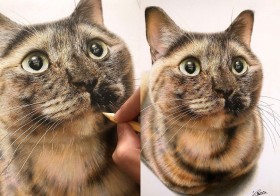 �ʐ^�����ʎ��I�c����46���Ԃ́g���A��������l�R�h�Ɍ���F���M�̖���