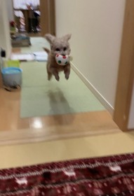 �_���{���v���o���H �h10�΂ɂȂ��Ă����C��