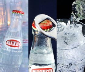 �u�y�b�g�{�g���ł悭�Ȃ��H�v�ߘa�̎���ɂ��g�r�h�����݂��闝�R�Ƃ� 