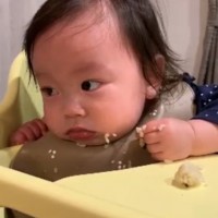 �����A�i���R���i�ЂɎn�߂��g�q�ǂ���������h�Ƀ��N�G�X�g�E���u�߂���߂���ʔ����v�u�����̎q���������āv