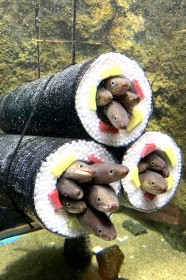 ���������狖����钴���c�K�������������g�A�i�S�̌b�����h���b��u���������o���p������������v