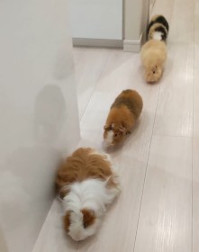 ���A���g�����J�[�h�H �Ȃ����Ǎۂɗ���Ȃ��������b�g����